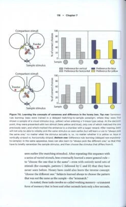 The Mind Of A Bee 9 The Mind Of A Bee -Wildlife Professional Books 255685 2