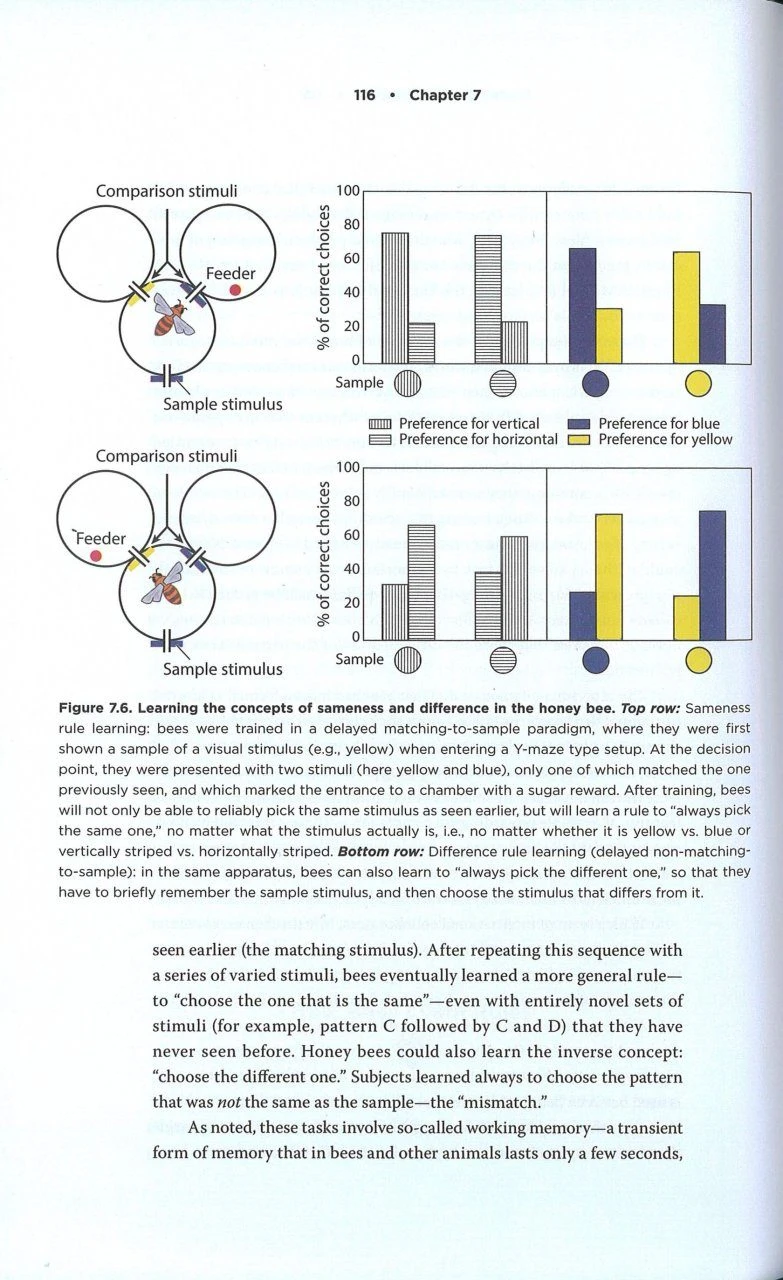The Mind Of A Bee 5 The Mind Of A Bee - Image 3
