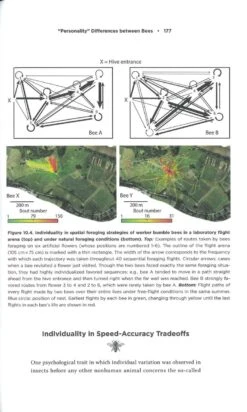 The Mind Of A Bee 10 The Mind Of A Bee -Wildlife Professional Books 255685 3