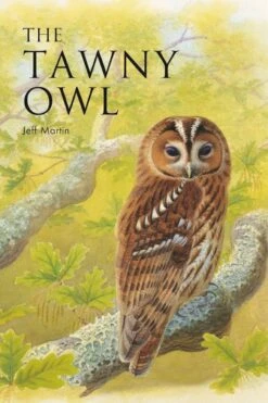 The Tawny Owl 13 The Tawny Owl -Wildlife Professional Books 255888