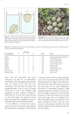 The Purple Sandpiper 10 The Purple Sandpiper -Wildlife Professional Books 255991 2