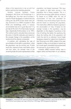 The Purple Sandpiper 11 The Purple Sandpiper -Wildlife Professional Books 255991 3