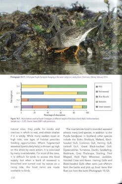 The Purple Sandpiper 12 The Purple Sandpiper -Wildlife Professional Books 255991 4