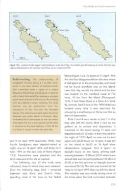 The Purple Sandpiper 13 The Purple Sandpiper -Wildlife Professional Books 255991 5