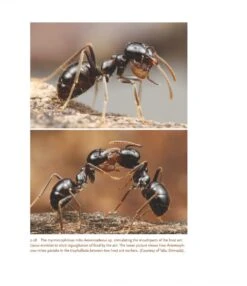 The Guests Of Ants 23 The Guests Of Ants -Wildlife Professional Books 256243 07