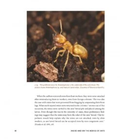 The Guests Of Ants 24 The Guests Of Ants -Wildlife Professional Books 256243 08