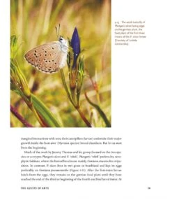 The Guests Of Ants 26 The Guests Of Ants -Wildlife Professional Books 256243 10