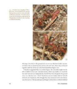 The Guests Of Ants 27 The Guests Of Ants -Wildlife Professional Books 256243 11