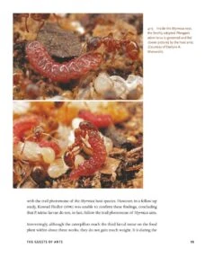 The Guests Of Ants 28 The Guests Of Ants -Wildlife Professional Books 256243 12
