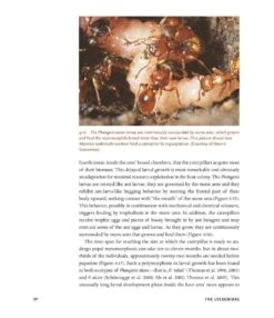 The Guests Of Ants 29 The Guests Of Ants -Wildlife Professional Books 256243 13