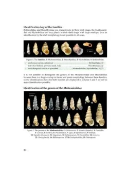 The Freshwater Gastropods Of The West-Palaearctis, Volume 2 38 The Freshwater Gastropods Of The West-Palaearctis, Volume 2 -Wildlife Professional Books 256455 16