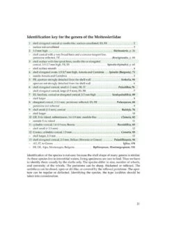 The Freshwater Gastropods Of The West-Palaearctis, Volume 2 39 The Freshwater Gastropods Of The West-Palaearctis, Volume 2 -Wildlife Professional Books 256455 17
