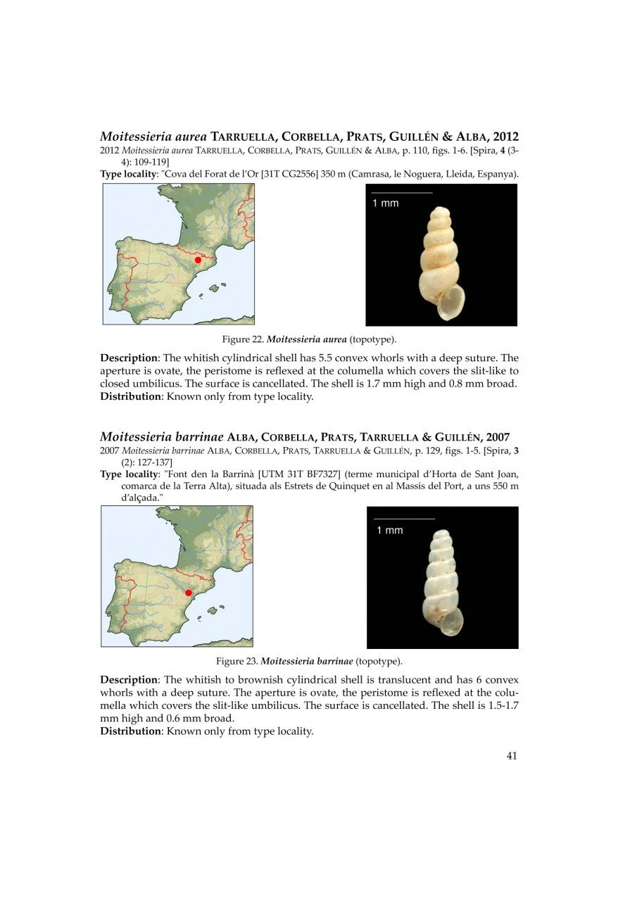 The Freshwater Gastropods Of The West-Palaearctis, Volume 2 21 The Freshwater Gastropods Of The West-Palaearctis, Volume 2 - Image 19