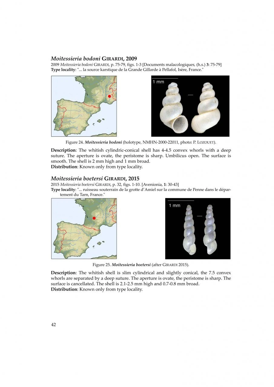 The Freshwater Gastropods Of The West-Palaearctis, Volume 2 22 The Freshwater Gastropods Of The West-Palaearctis, Volume 2 - Image 20