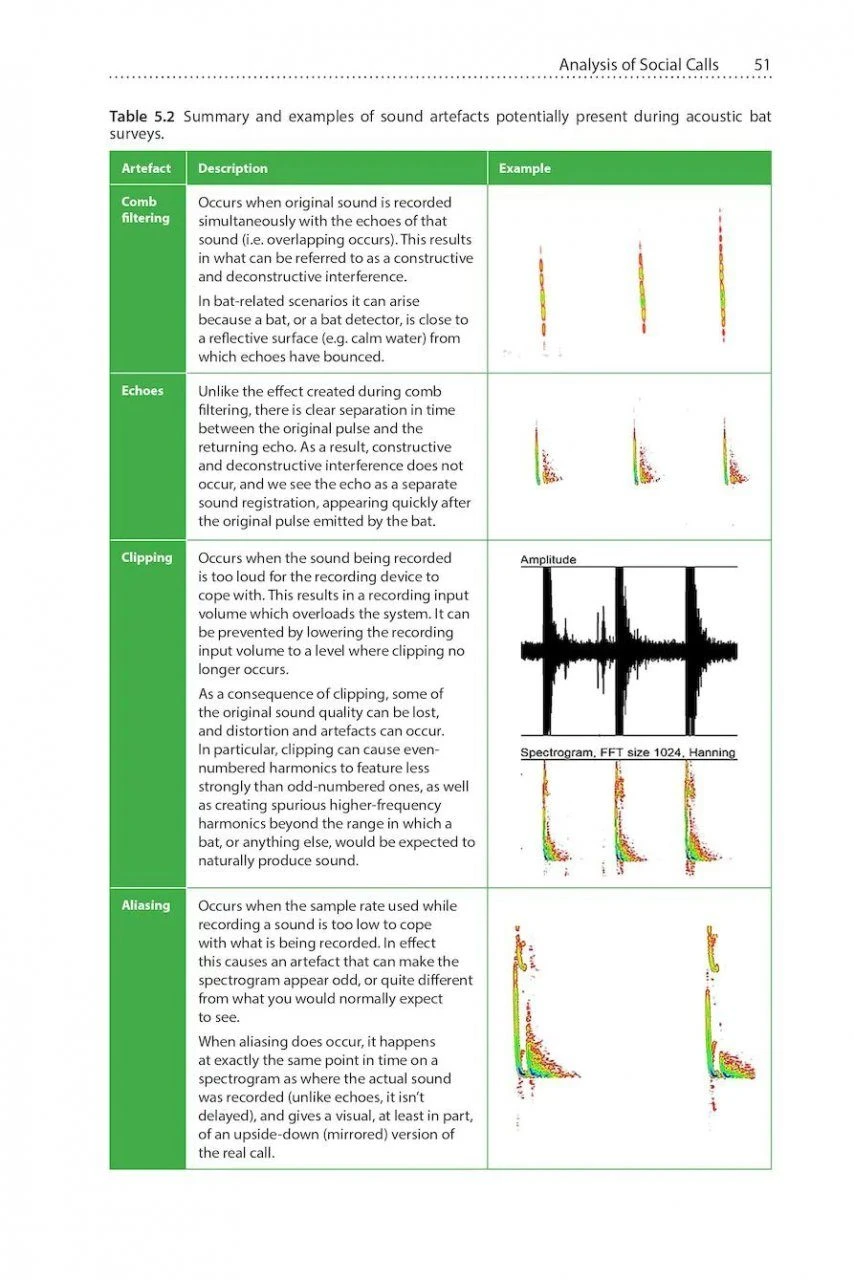 Social Calls Of The Bats Of Britain And Ireland 6 Social Calls Of The Bats Of Britain And Ireland - Image 4