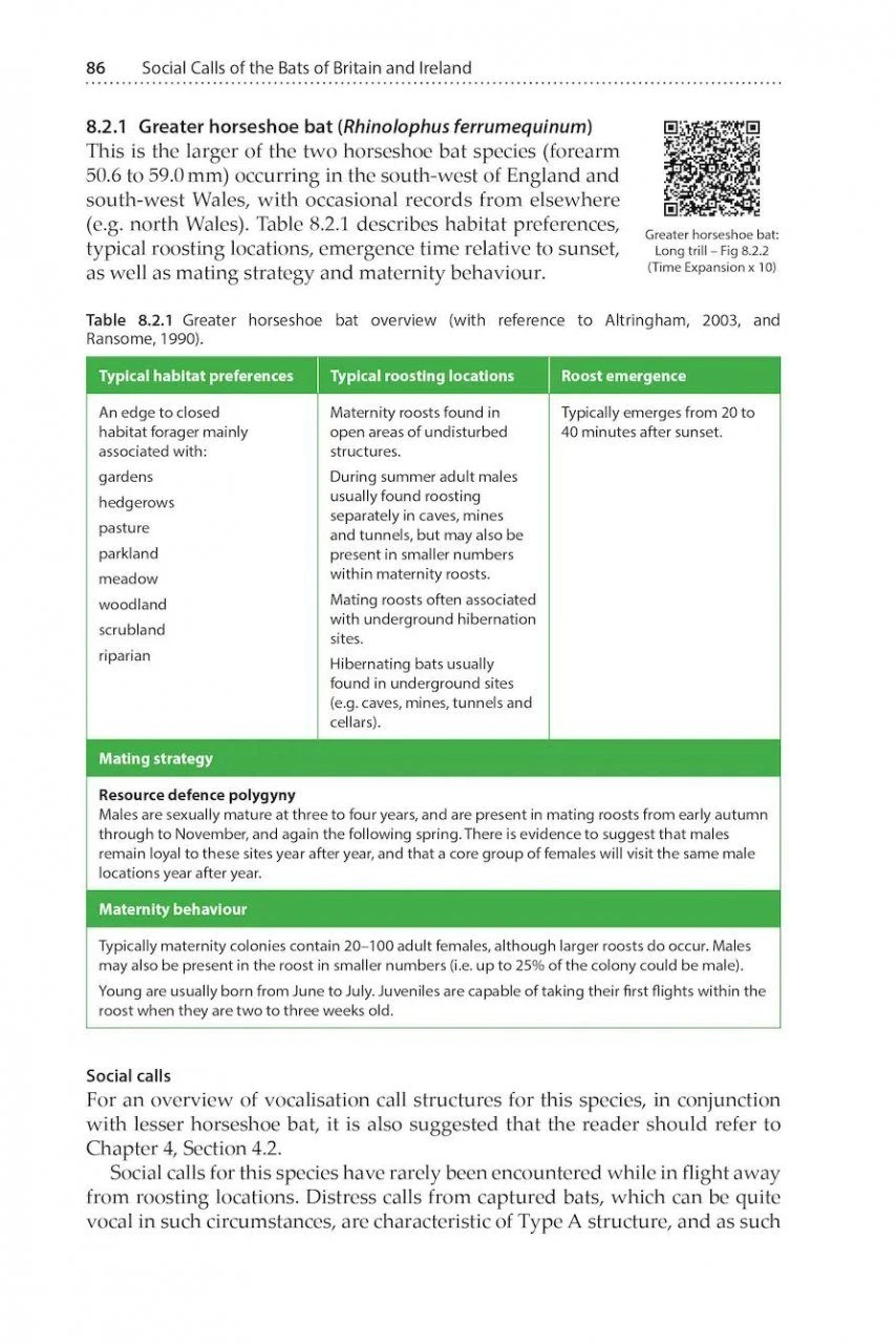 Social Calls Of The Bats Of Britain And Ireland 8 Social Calls Of The Bats Of Britain And Ireland - Image 6