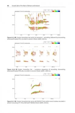 Social Calls Of The Bats Of Britain And Ireland 18 Social Calls Of The Bats Of Britain And Ireland -Wildlife Professional Books 256800 5