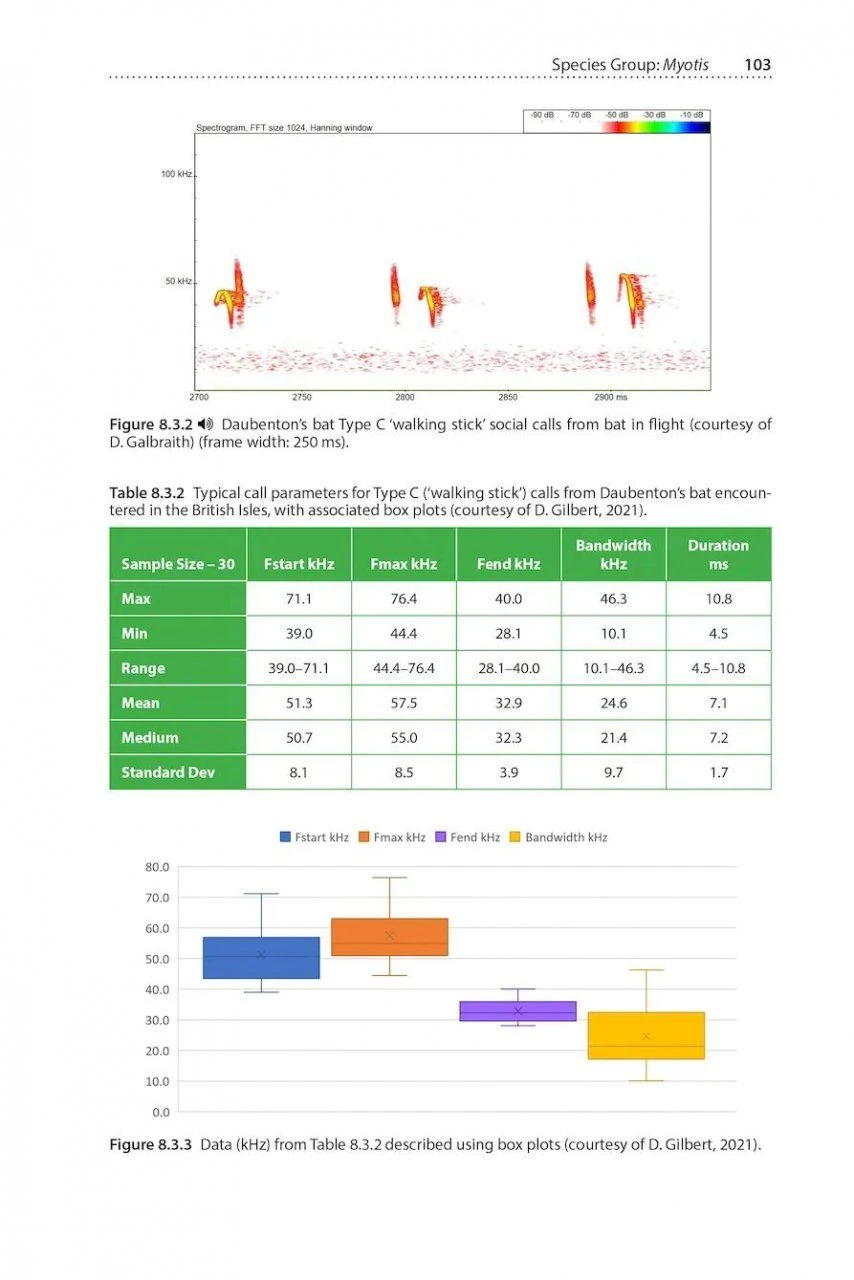 Social Calls Of The Bats Of Britain And Ireland 10 Social Calls Of The Bats Of Britain And Ireland - Image 8