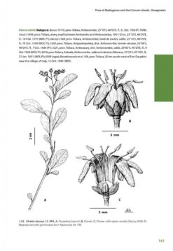 Flora Of Madagascar And The Comoro Islands: Boraginales, Olacaceae And Allies, Apiaceae [Faune Et Flore Tropicales, Volume 50] -Wildlife Professional Books 256912 04