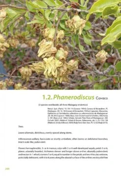 Flora Of Madagascar And The Comoro Islands: Boraginales, Olacaceae And Allies, Apiaceae [Faune Et Flore Tropicales, Volume 50] -Wildlife Professional Books 256912 05