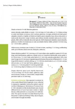 Flora Of Madagascar And The Comoro Islands: Boraginales, Olacaceae And Allies, Apiaceae [Faune Et Flore Tropicales, Volume 50] -Wildlife Professional Books 256912 07