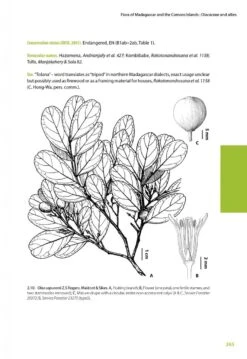 Flora Of Madagascar And The Comoro Islands: Boraginales, Olacaceae And Allies, Apiaceae [Faune Et Flore Tropicales, Volume 50] -Wildlife Professional Books 256912 08