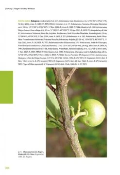 Flora Of Madagascar And The Comoro Islands: Boraginales, Olacaceae And Allies, Apiaceae [Faune Et Flore Tropicales, Volume 50] -Wildlife Professional Books 256912 09