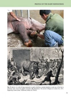 The Hairy Rhinoceros 9 The Hairy Rhinoceros -Wildlife Professional Books 257740 2