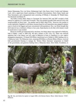 The Hairy Rhinoceros 10 The Hairy Rhinoceros -Wildlife Professional Books 257740 3