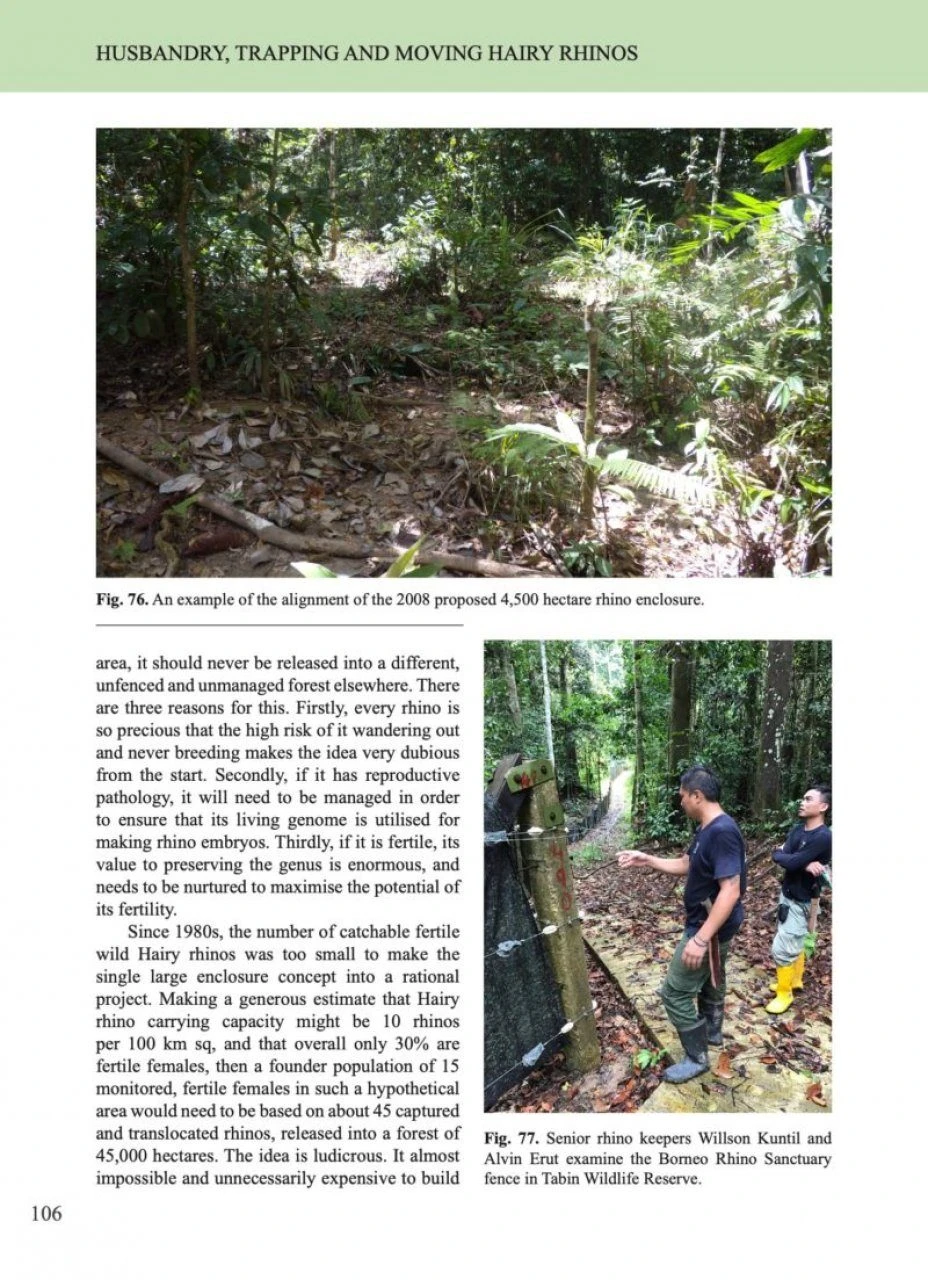 The Hairy Rhinoceros 7 The Hairy Rhinoceros - Image 5