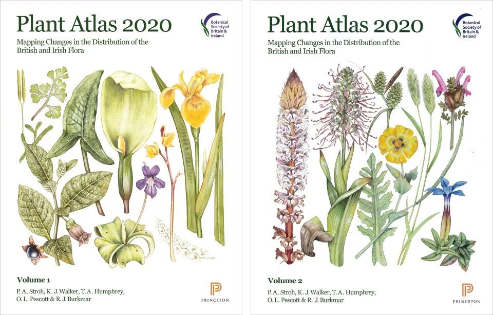 Plant Atlas 2020: Mapping Changes In The Distribution Of The British And Irish Flora (2-Volume Set) 3 Plant Atlas 2020: Mapping Changes In The Distribution Of The British And Irish Flora (2-Volume Set)
