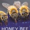 Honey Bee Biology 2 Honey Bee Biology -Wildlife Professional Books 257979