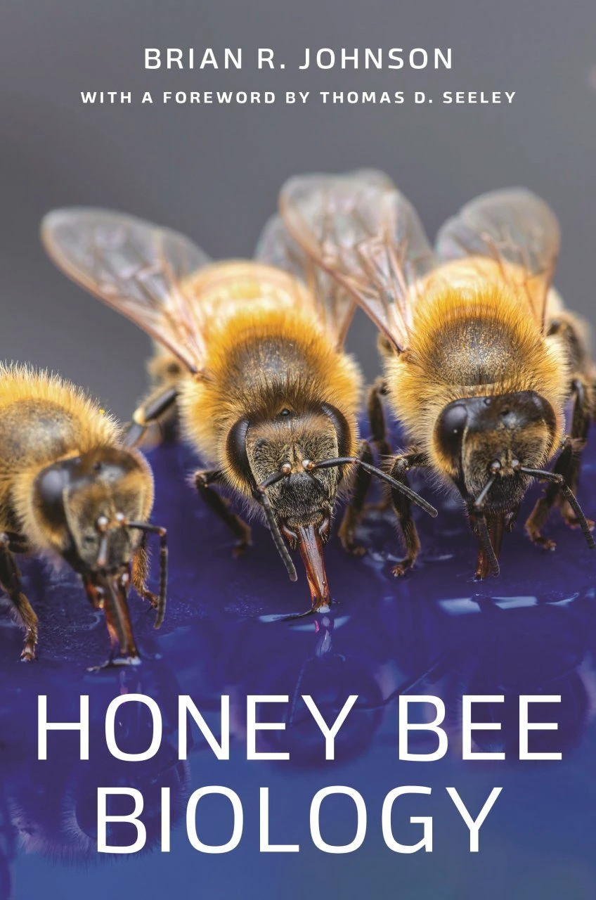 Honey Bee Biology 3 Honey Bee Biology