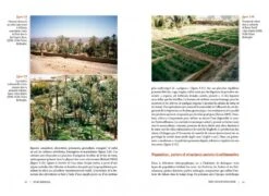 Les Palmes Du Savoir-Faire: La Vannerie Dans Les Oasis Du Sahara [The Palms Of Know-How: Basketry In The Oases Of The Sahara] -Wildlife Professional Books 259023 3
