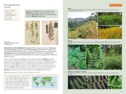 The Kew Temperate Plant Families Identification Handbook 9 The Kew Temperate Plant Families Identification Handbook -Wildlife Professional Books 259406 2
