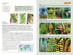 The Kew Temperate Plant Families Identification Handbook 10 The Kew Temperate Plant Families Identification Handbook -Wildlife Professional Books 259406 3