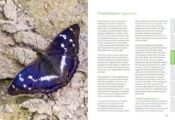 Butterfly Conservation -Wildlife Professional Books 259423 3