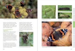 Butterfly Conservation -Wildlife Professional Books 259423 4