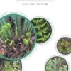 Pteridophytes Of Thailand, Volume 1 [English / Chinese] -Wildlife Professional Books 259442