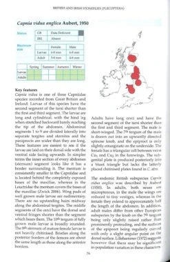 British And Irish Stoneflies (Plecoptera) 10 British And Irish Stoneflies (Plecoptera) -Wildlife Professional Books 259572 2
