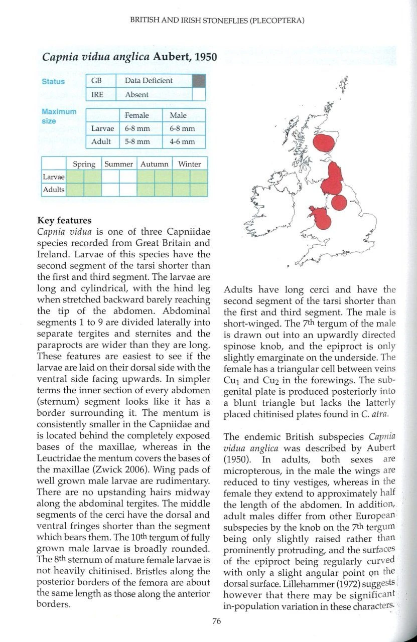 British And Irish Stoneflies (Plecoptera) 5 British And Irish Stoneflies (Plecoptera) - Image 3