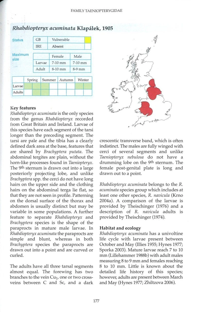 British And Irish Stoneflies (Plecoptera) 8 British And Irish Stoneflies (Plecoptera) - Image 6