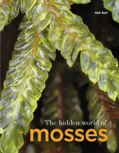 The Hidden World Of Mosses
