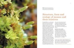 The Hidden World Of Mosses 10 The Hidden World Of Mosses -Wildlife Professional Books 259756 3