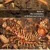 Atlas Of The Centipedes Of Britain And Ireland 1 Atlas Of The Centipedes Of Britain And Ireland -Wildlife Professional Books 259919