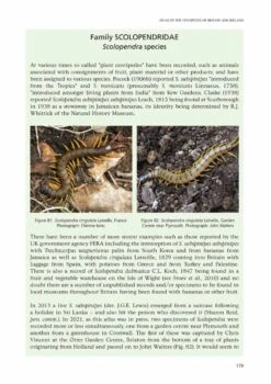 Atlas Of The Centipedes Of Britain And Ireland 11 Atlas Of The Centipedes Of Britain And Ireland -Wildlife Professional Books 259919 4