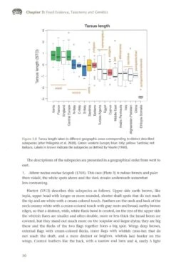 The Little Owl 13 The Little Owl -Wildlife Professional Books 260204 1