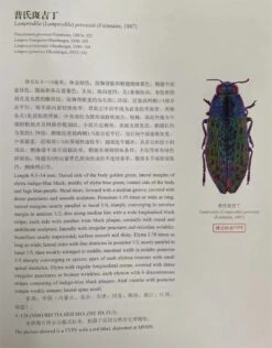 An Iconography Of Chinese Buprestidae (Coleoptera) (2-Volume Set) [English / Chinese] -Wildlife Professional Books 260263 2