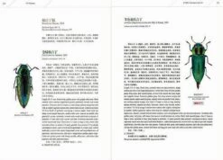 An Iconography Of Chinese Buprestidae (Coleoptera) (2-Volume Set) [English / Chinese] -Wildlife Professional Books 260263 4