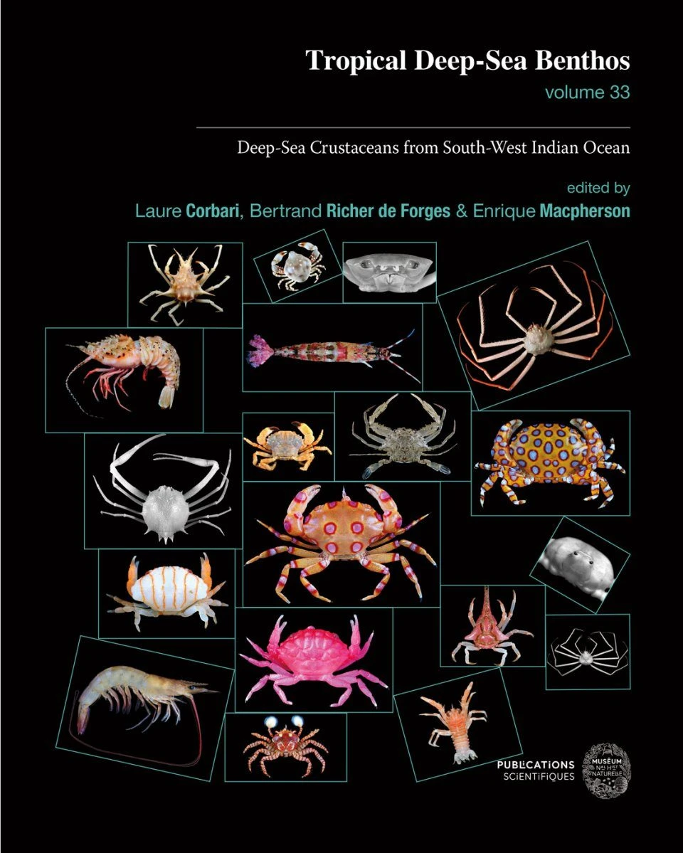 Tropical Deep-Sea Benthos, Volume 33 3 Tropical Deep-Sea Benthos, Volume 33